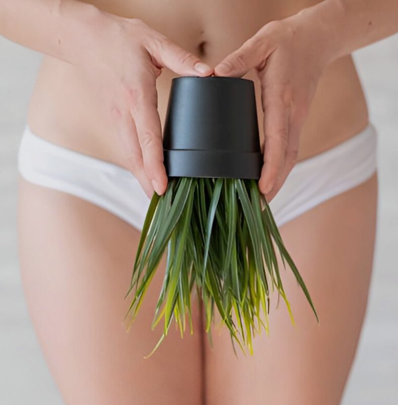 Brazilian Wax in Ponte Vedra, FL